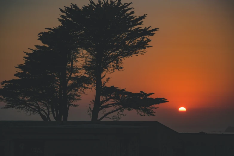 sunset over the sea with some trees at shore