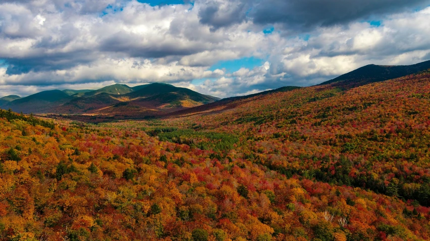 a large area of green hills with orange and yellow trees