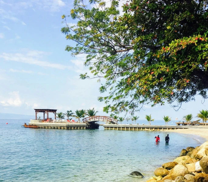 people standing in the water near a dock