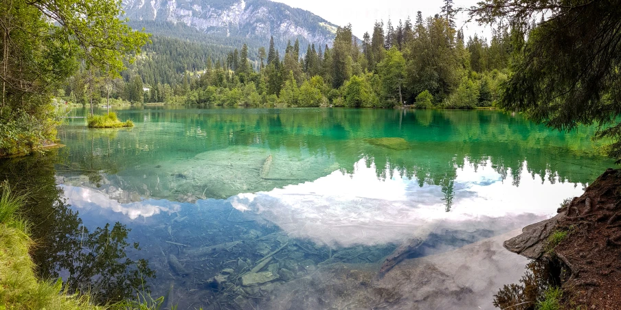 a large body of water surrounded by trees and grass