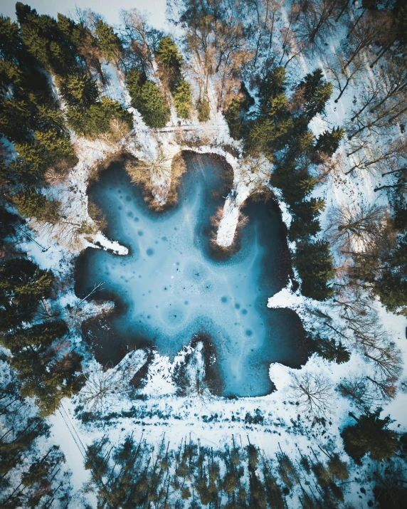 the tree line has snow on it near water