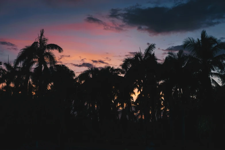 a sunset over palm trees with clouds and sky