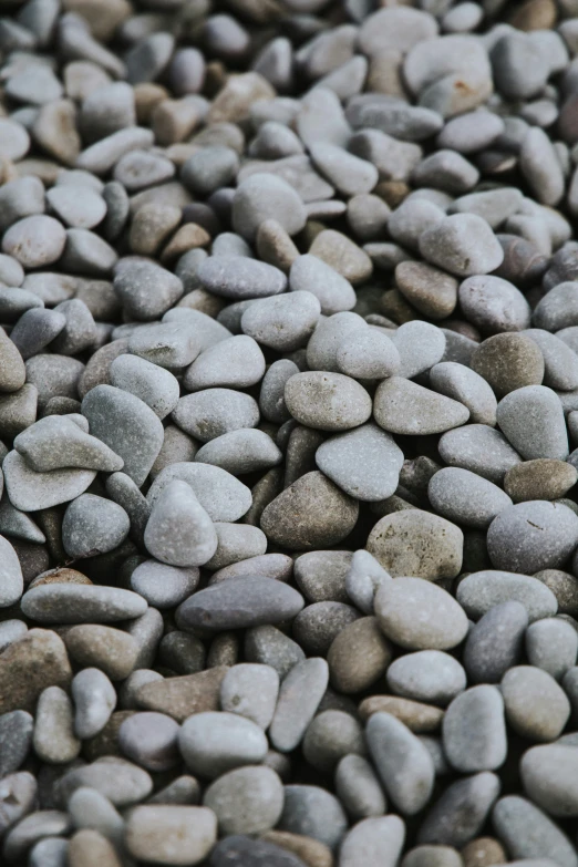 a small cluster of rocks laying on the ground