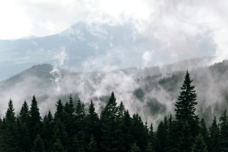 a po of some trees and a mountain in the background