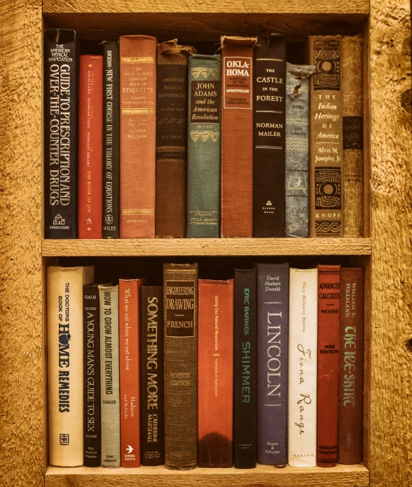 a shelf of books on top of a wall