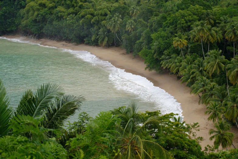 the sea and trees are shown in this view