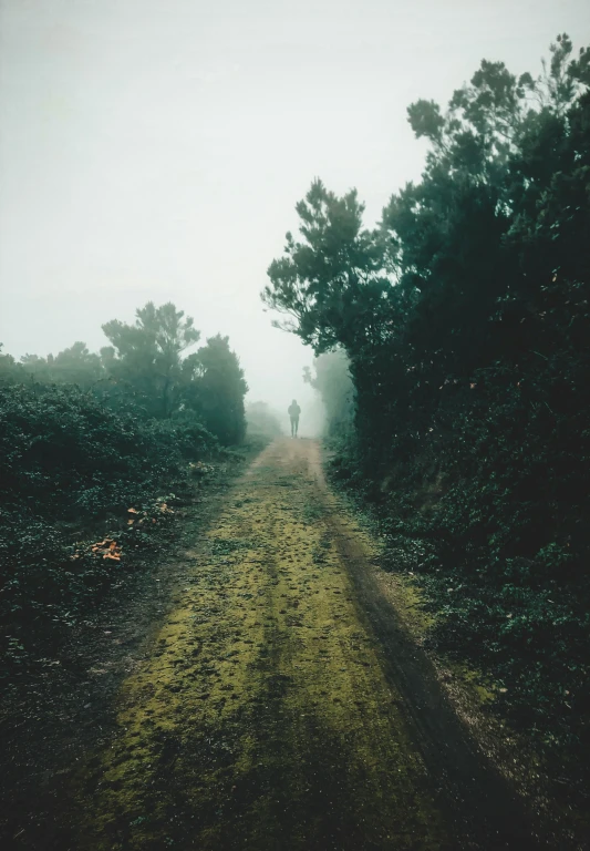 a man walks along a road through the fog