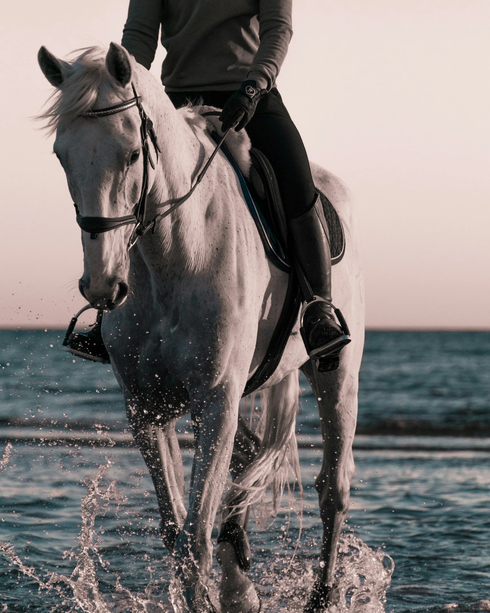 a woman riding a white horse in the ocean