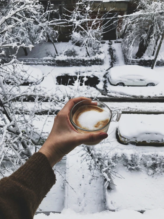 someone holds a coffee cup in their hand, in a snowy yard