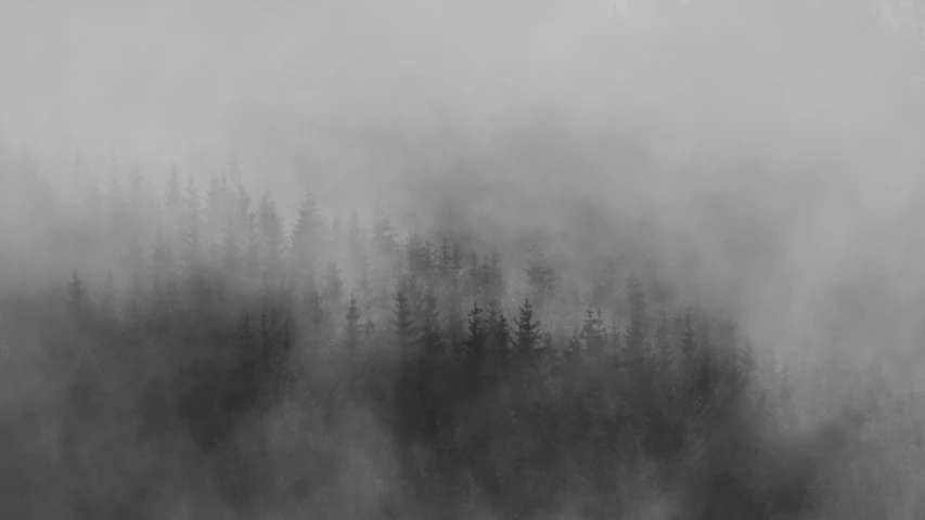 a black and white landscape with trees on the left, a fog is in the air with one cloud above the forest, and a distant area that is covered in