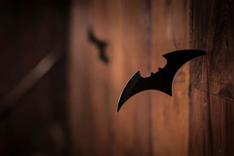 the shadow of a bat against a wooden wall