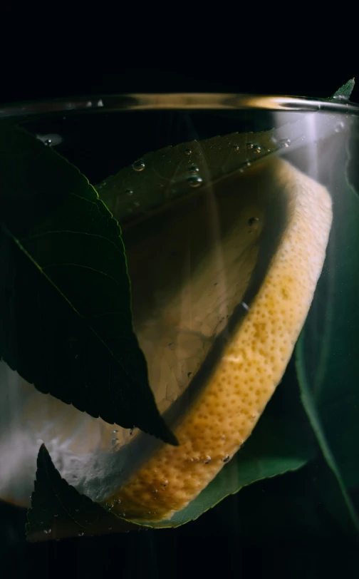 a piece of lime is submerged in a water in a cup