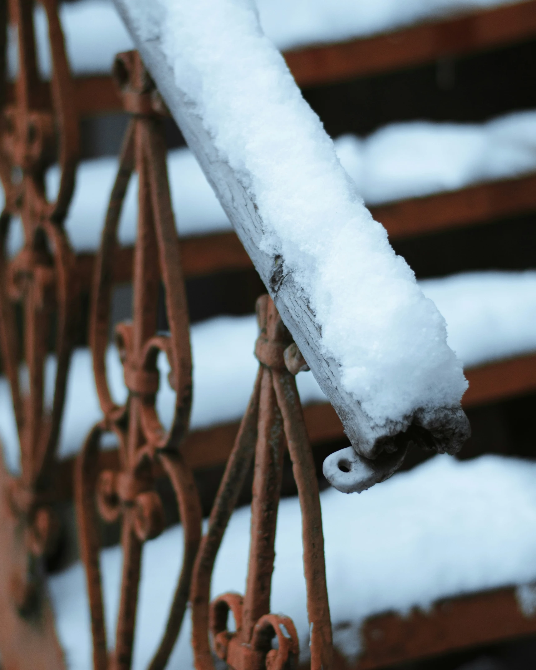 the snow on the wrought iron fencing makes it look like it is covered with ice