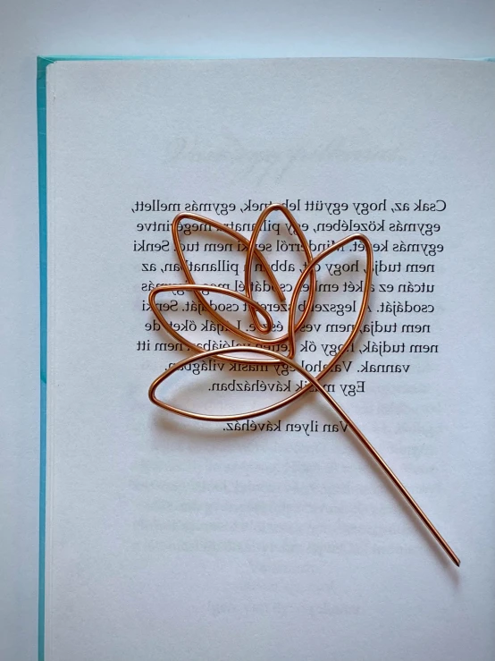 a rose shaped brooch sitting on top of an open book