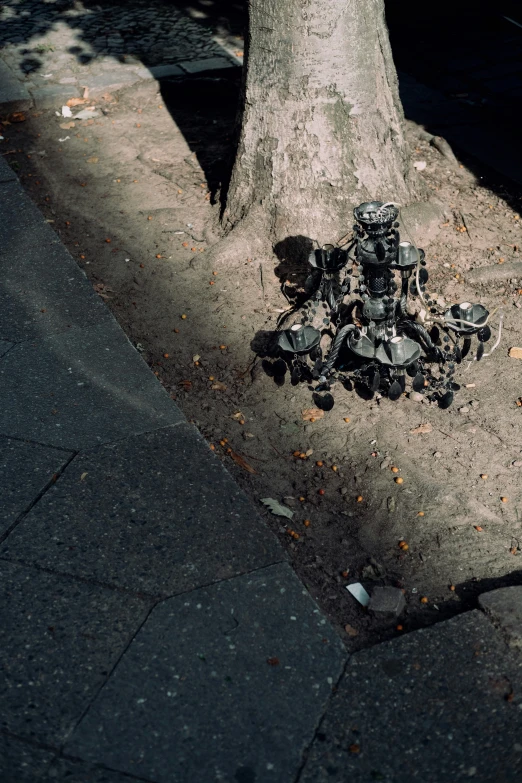 trash on the side of a street by a tree