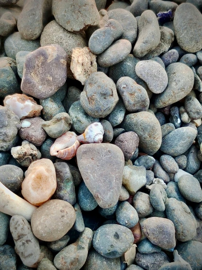 a variety of rocks laying on the ground