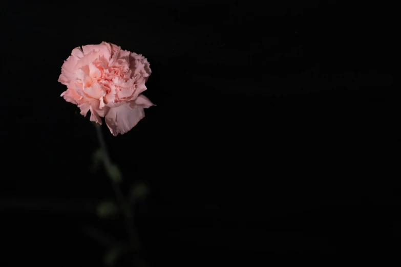 a flower sitting on top of a black table