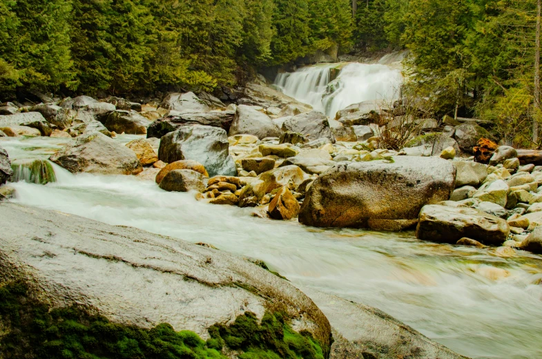 there are many rocks in the water and trees around it