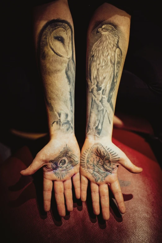 two arm tattoos are showing on the front of one hand and another with an owl above