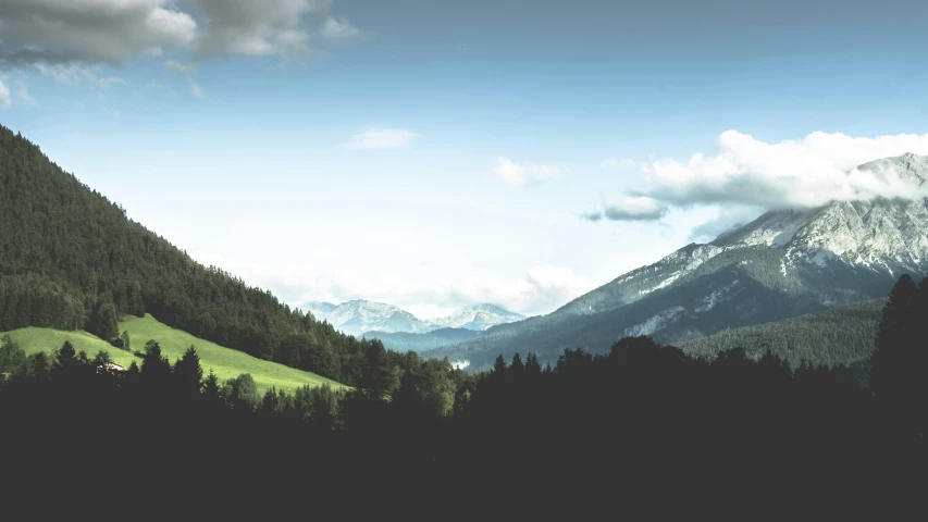 a mountain range with a grassy hillside and trees