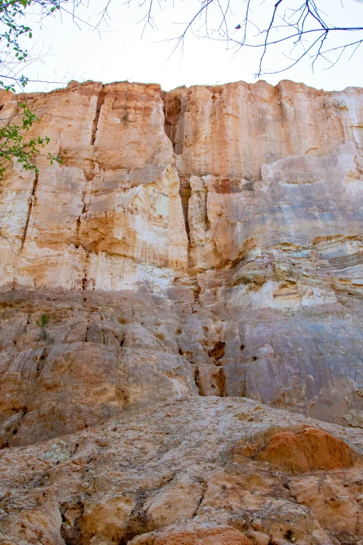 the cliffs are very tall and have a tree growing on top of them