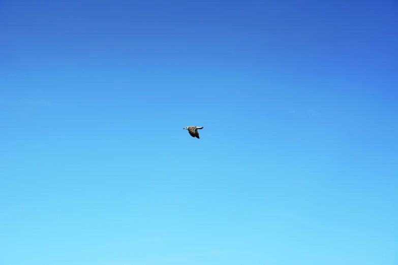 two people walking with an eagle in the background