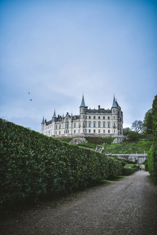 a beautiful old castle with trees and shrubs on the ground