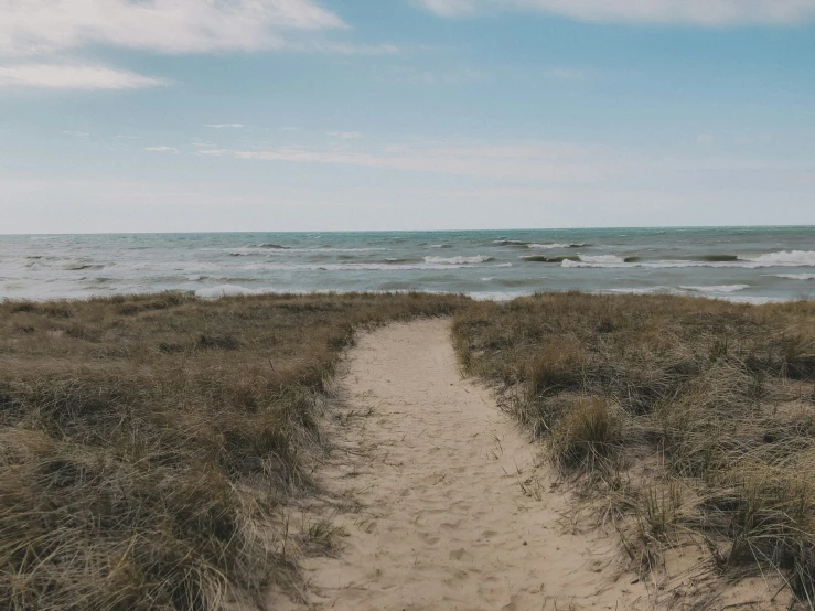 this is an image of a path in the sand