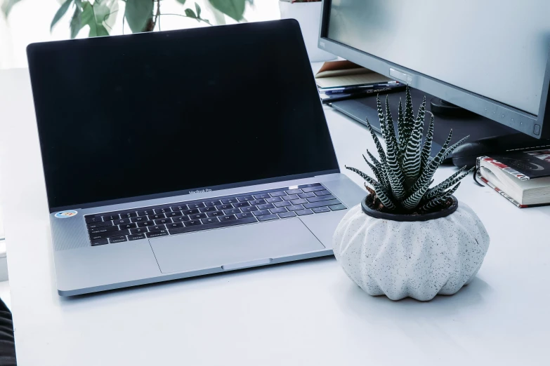 a white pumpkin next to a laptop computer