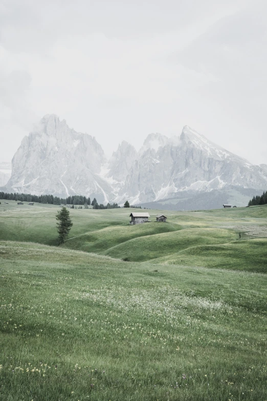 a grassy plain with trees and mountains in the background