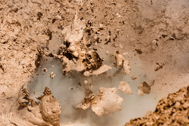 an animal's reflection is shown through some mud