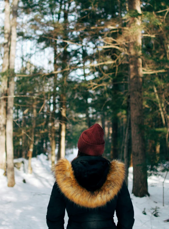 a person walking through the snow in a park