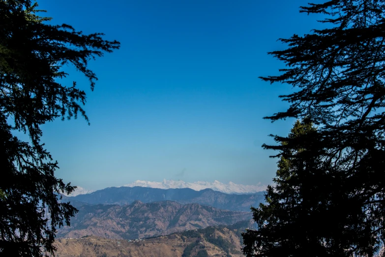 mountains and valleys are visible through trees