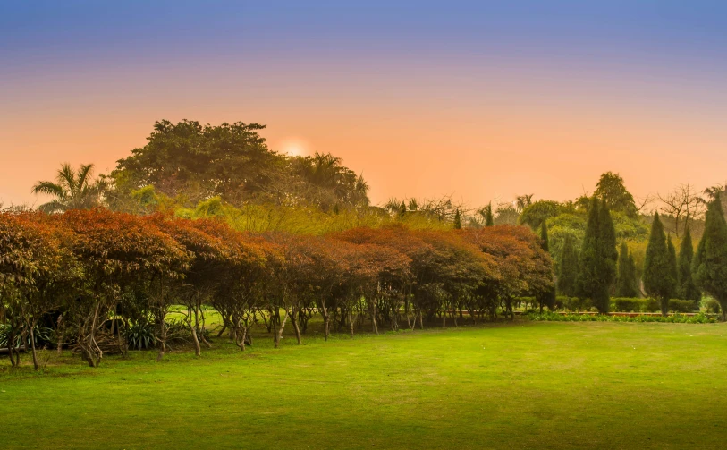 a grassy field in a park area at sunset
