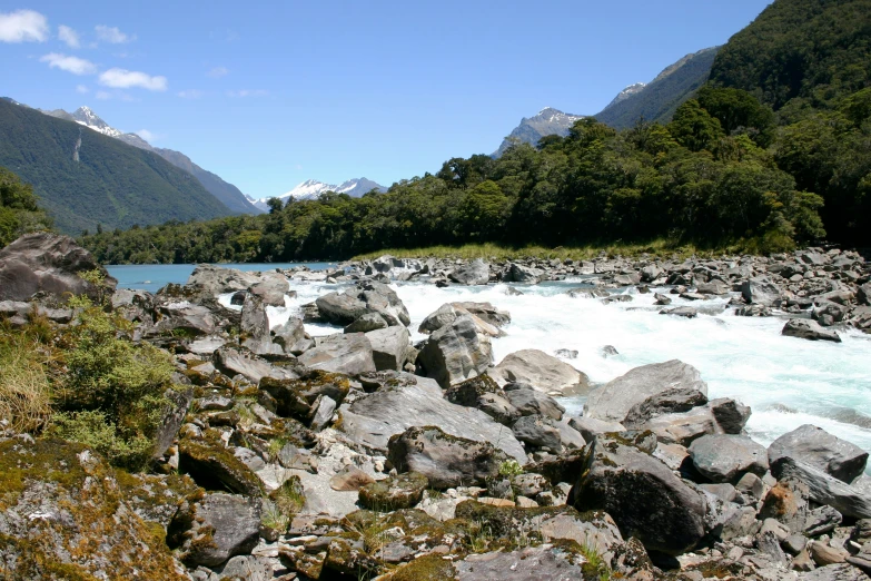 a beautiful river flowing through a lush green forest