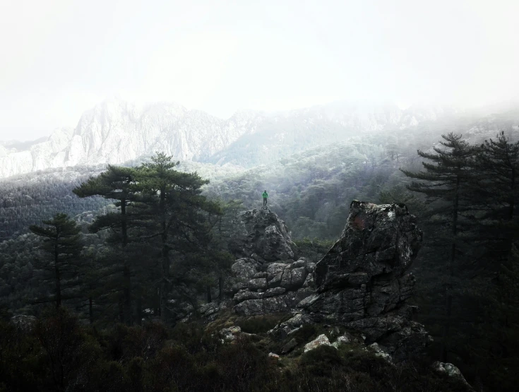 fog covering the mountains surrounding the trees in the forest