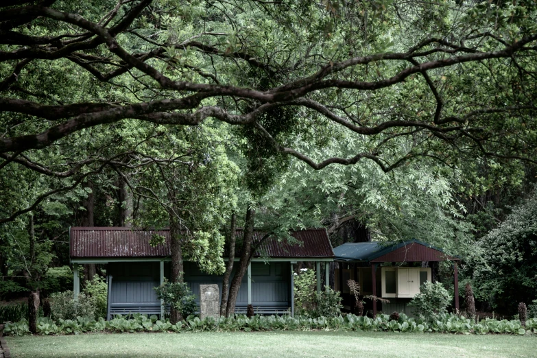 a home with some trees surrounding it