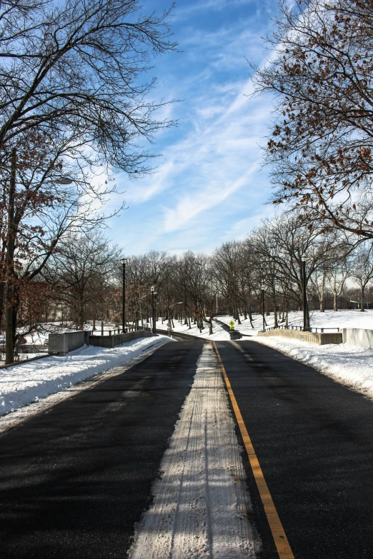 a road going through a park with snowy ground