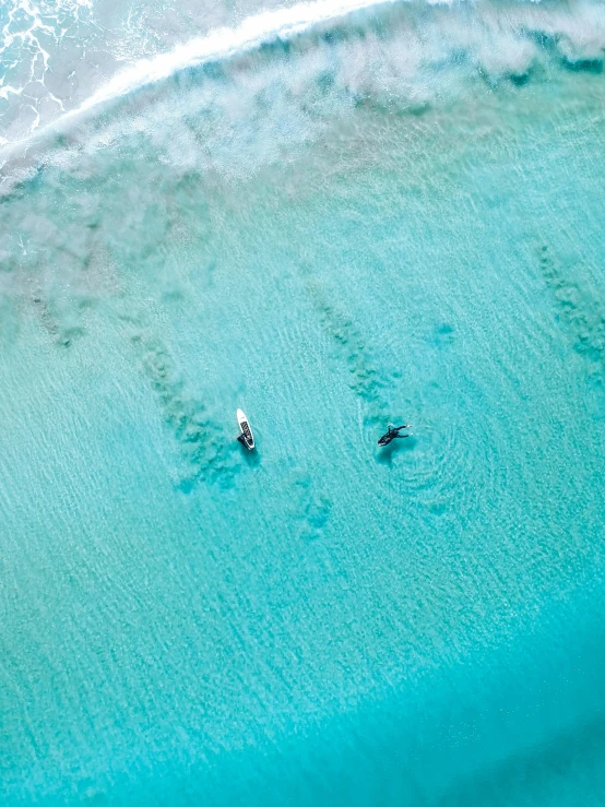 three people in water on surfboards in a beach area