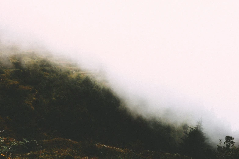 the view of a field with a fogy mountain in the background