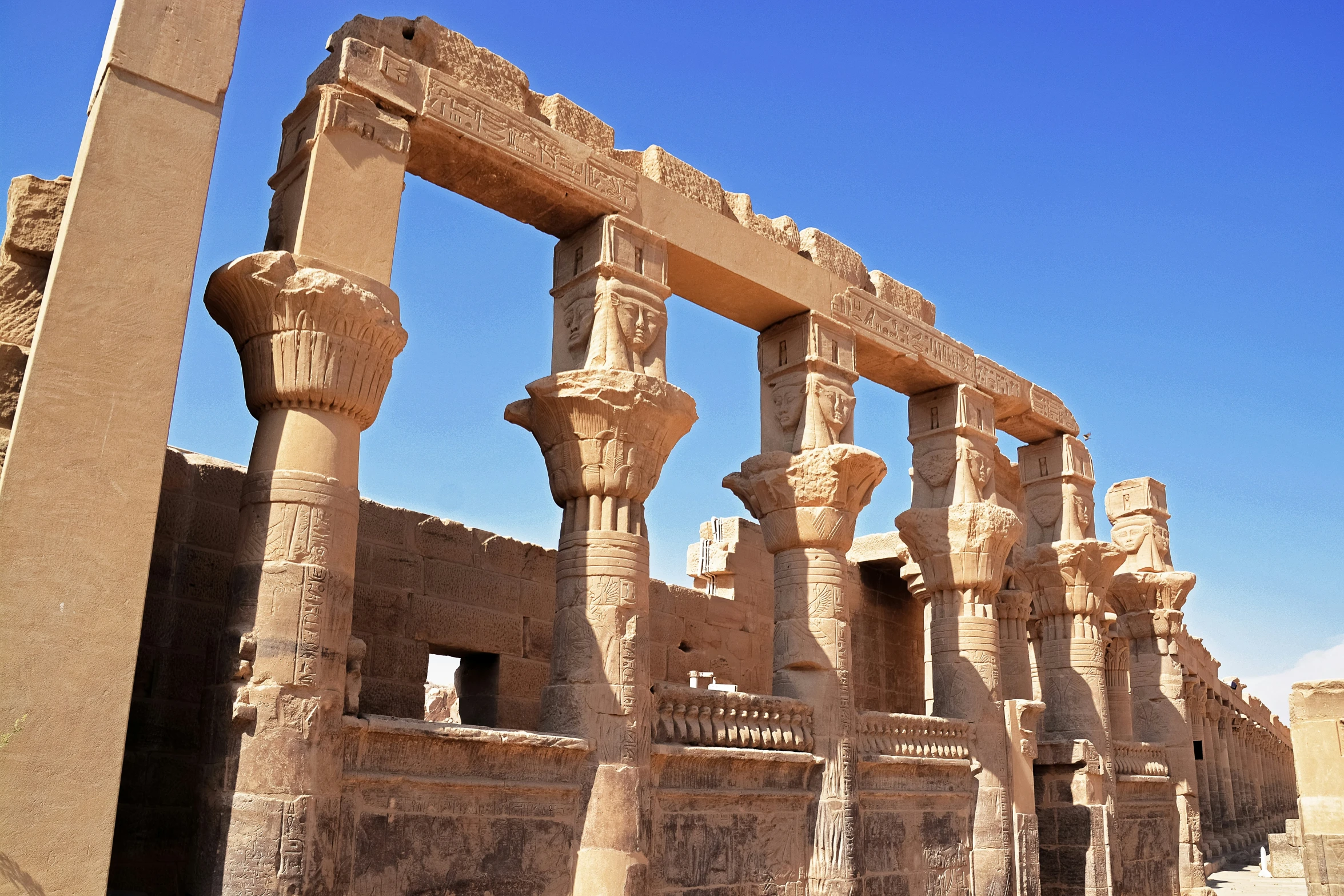 the ruins of the old city of palmyra, egypt