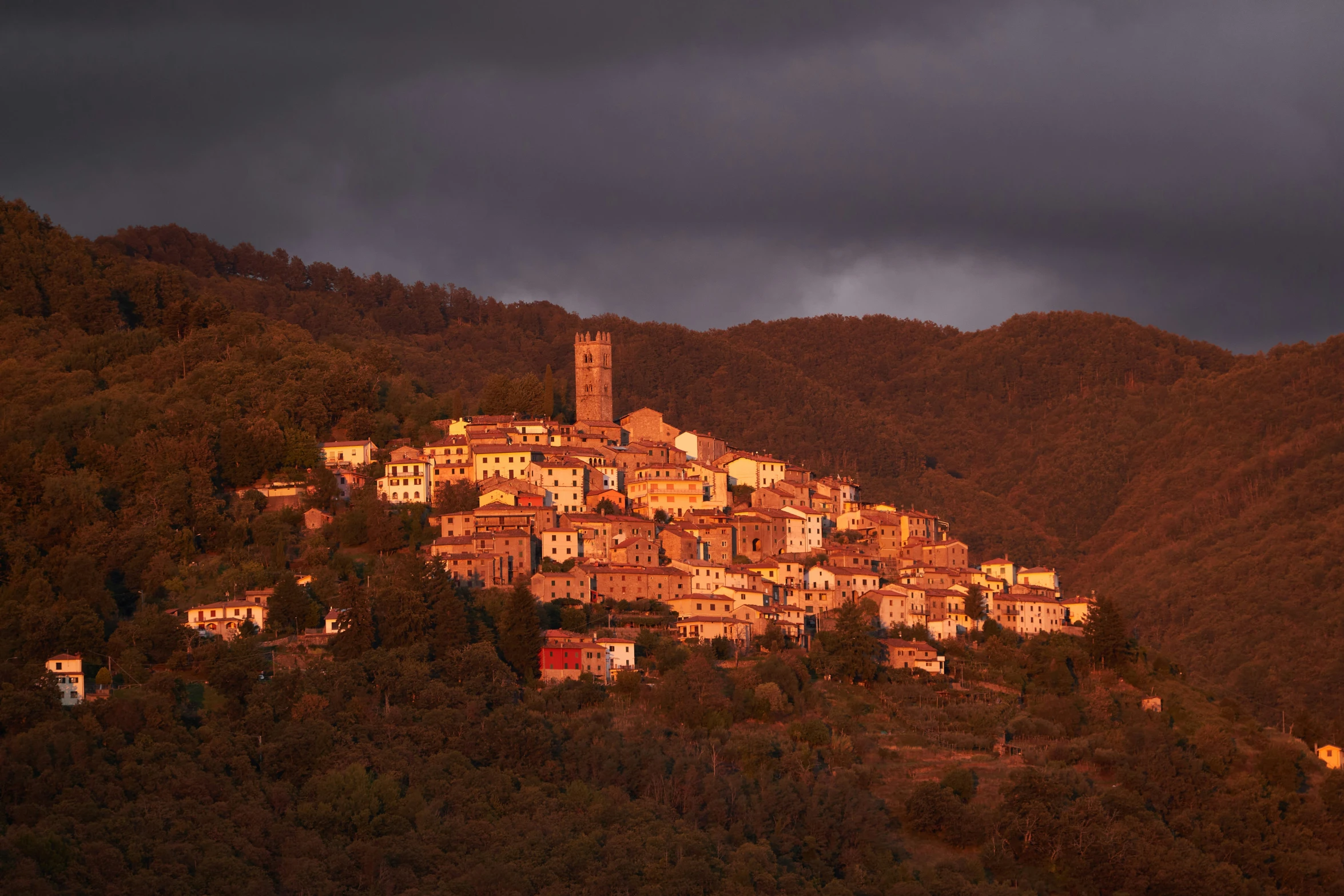 the hillside is surrounded by trees and houses