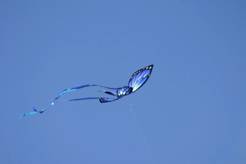 a very pretty blue erfly kite flying in the air