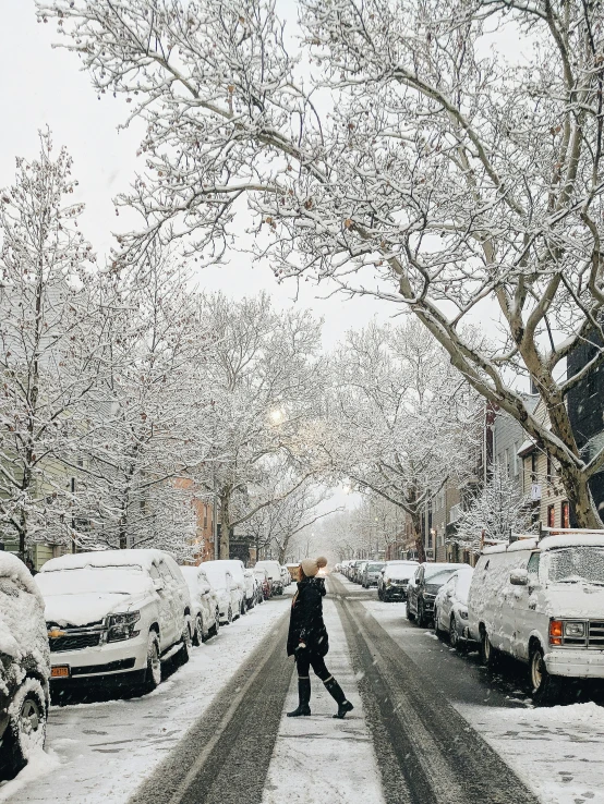 snow covers a street as cars and trees rest