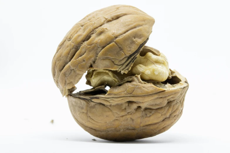 a large nut with its shell in a white background