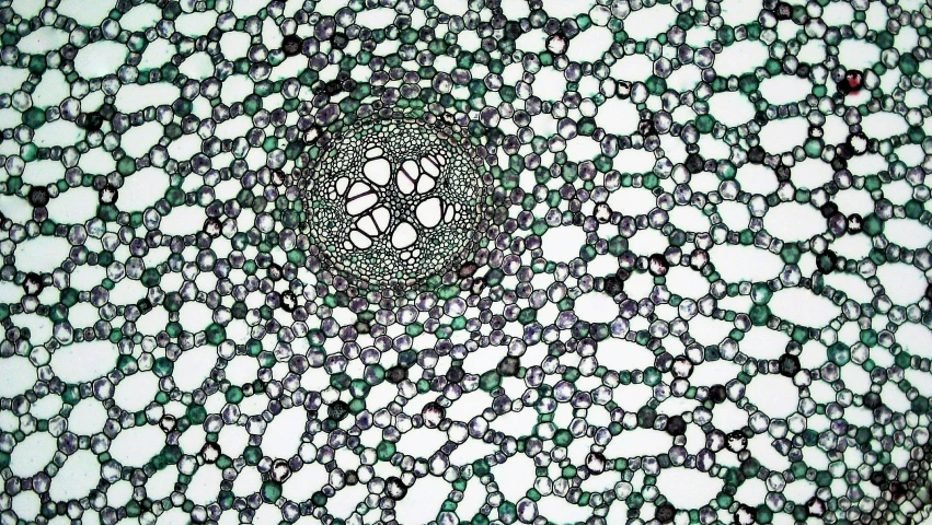 a close up of a piece of cloth with circles of white circles on it