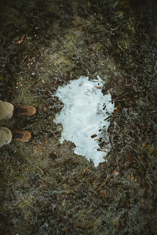 looking down at a dle in the grass that looks like snow