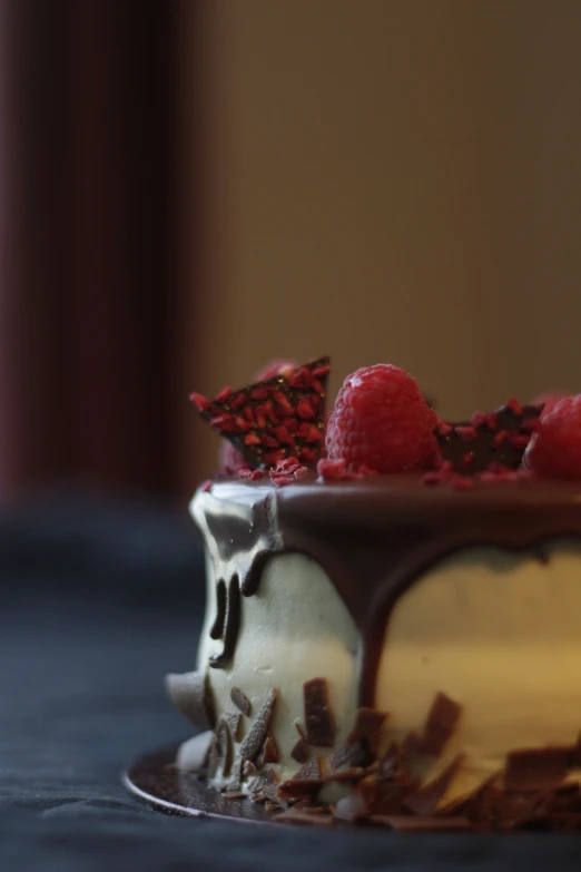 a dessert with a drizzled chocolate icing and raspberry