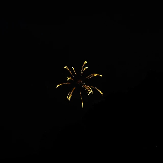 fireworks are lit against a dark sky in a dark sky