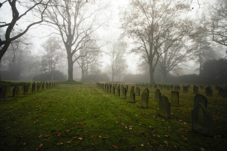 a cemetery surrounded by fog and tall trees